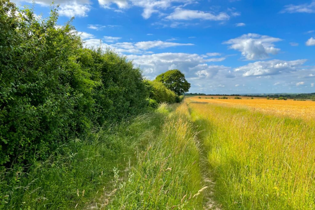 La haie : un rôle crucial