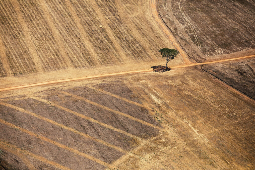 UE-Mercosur, vous reprendrez bien un peu de déforestation ?