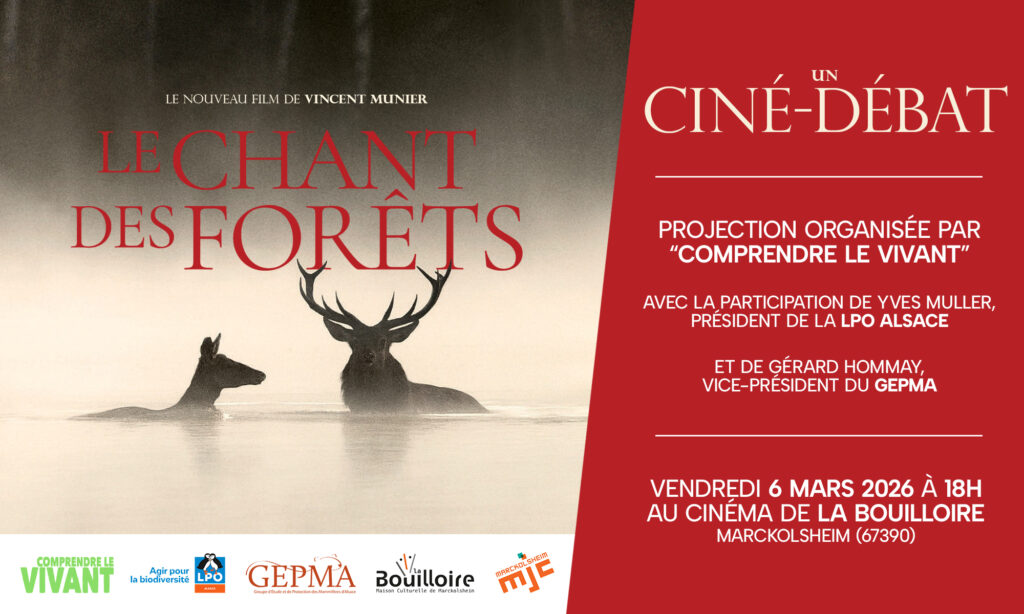 « Le Chant des forêts » en ciné-débat !