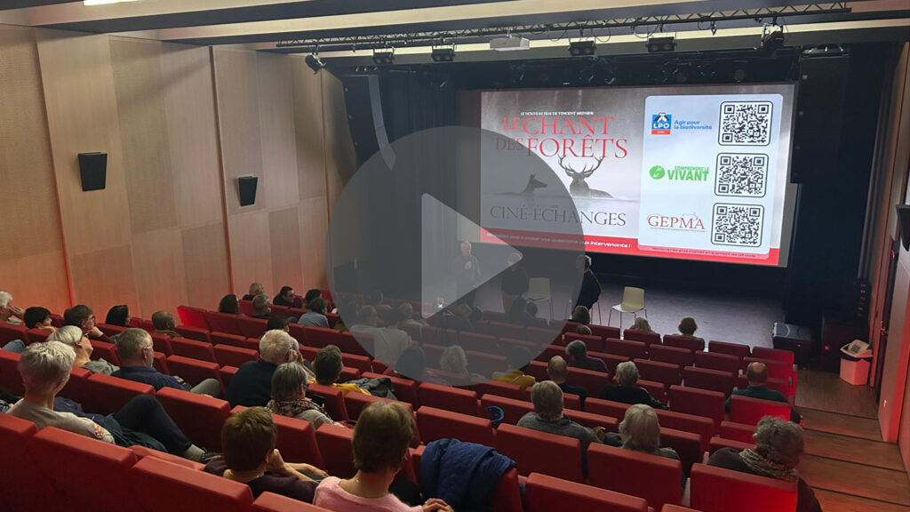 REPLAY – Cine-échanges « Le Chant des forêts »