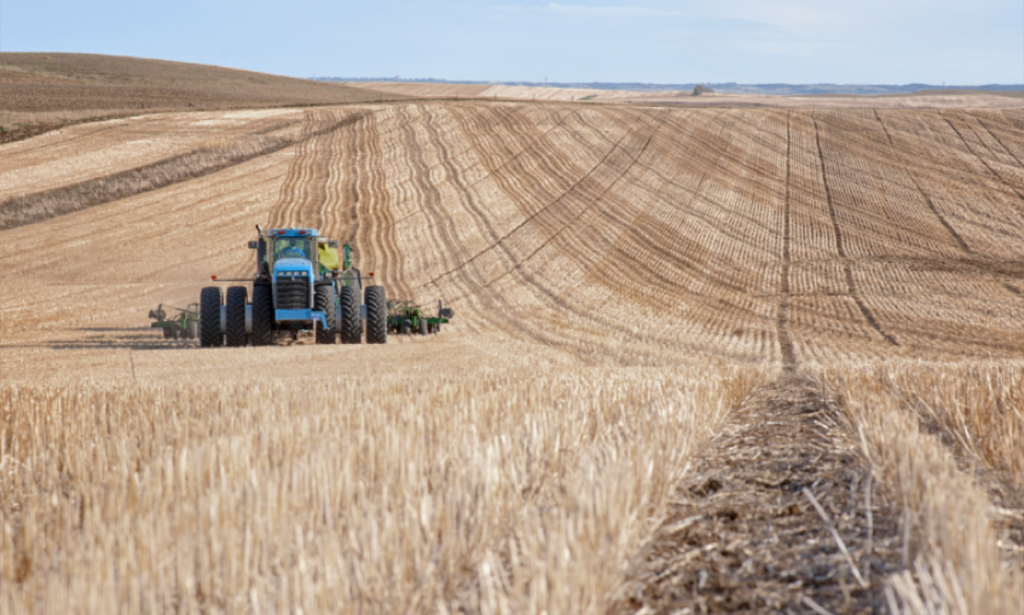 Lettre ouverte à nos décideurs : loi d’urgence agricole